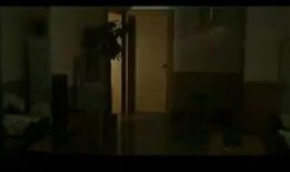 一级恐惧在线观看免费,揭秘人性深渊的免费观影之旅